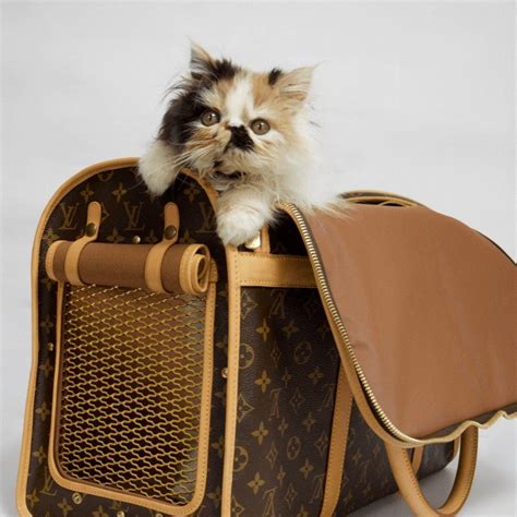 lv pet carrier|authentic louis vuitton pet carrier.